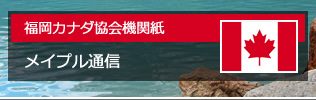 メイプル通信